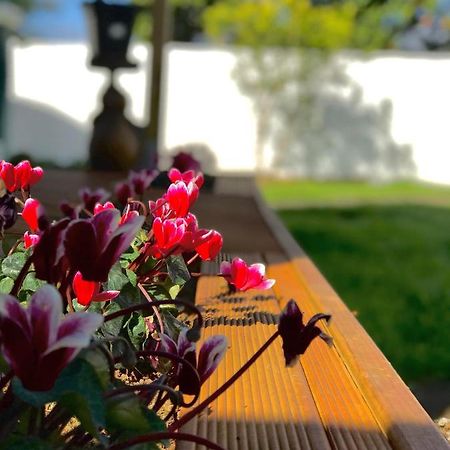 Onehunga Garden Tinyhouse With Parking Otel Auckland Dış mekan fotoğraf