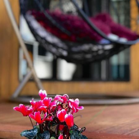 Onehunga Garden Tinyhouse With Parking Otel Auckland Dış mekan fotoğraf