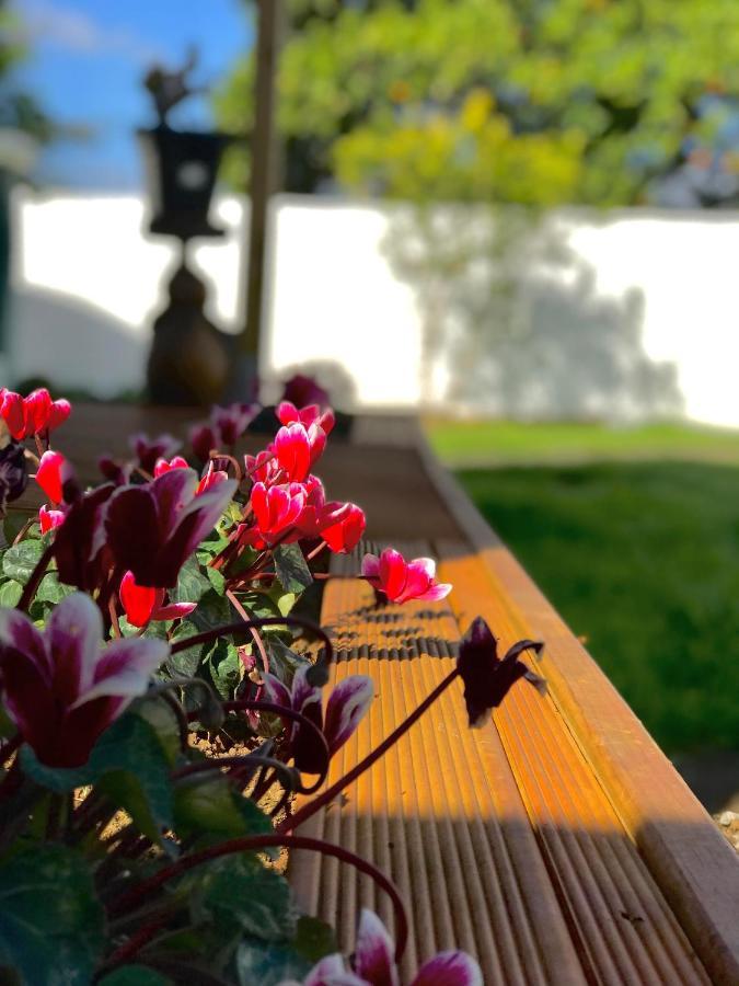 Onehunga Garden Tinyhouse With Parking Otel Auckland Dış mekan fotoğraf