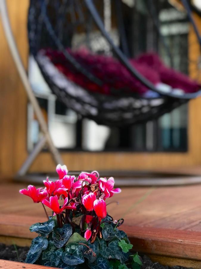 Onehunga Garden Tinyhouse With Parking Otel Auckland Dış mekan fotoğraf